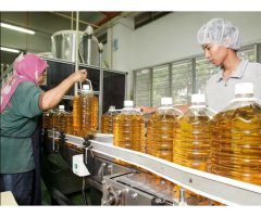 Malaysia Palm oil No.1 in the world